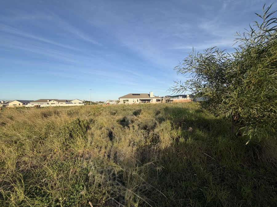 0 Bedroom Property for Sale in Fountains Estate Eastern Cape